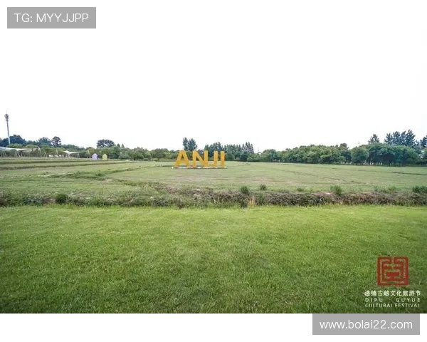 安吉美丽乡村行：沉浸式直播带你畅游竹海